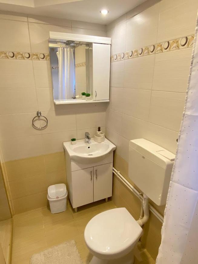 Apartman Mina Mataruska Banja Exterior photo